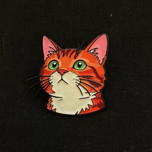 CatOrangeTabby