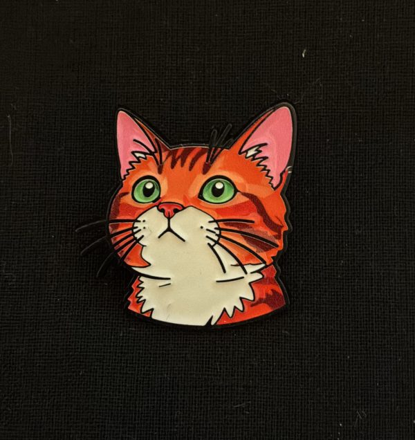 CatOrangeTabby